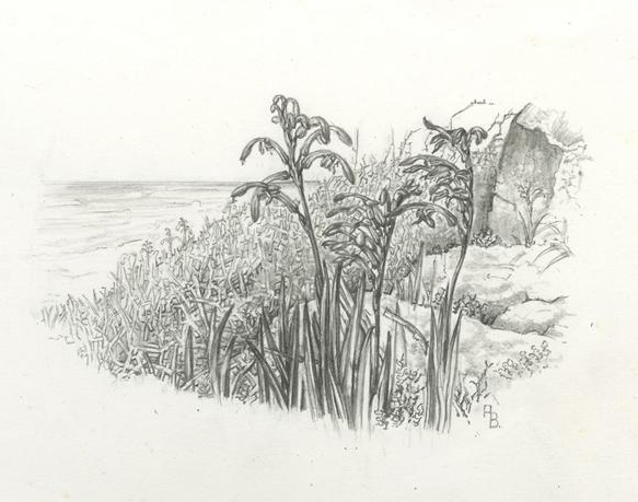 no HD illustration available (m1)