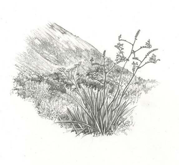 no HD illustration available (m1)