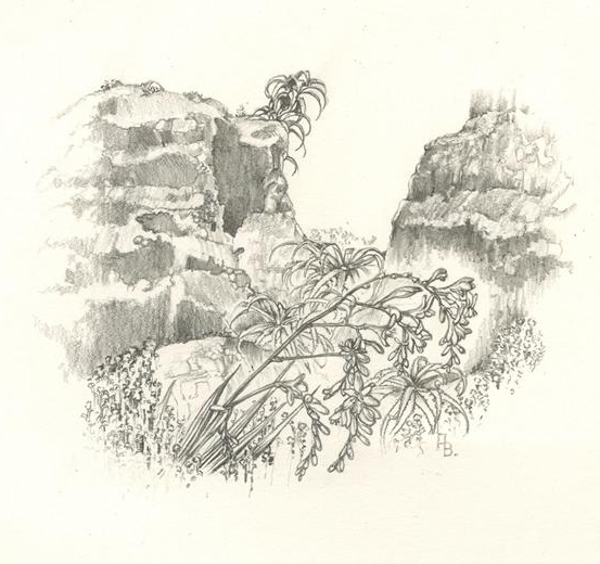 no HD illustration available (m1)