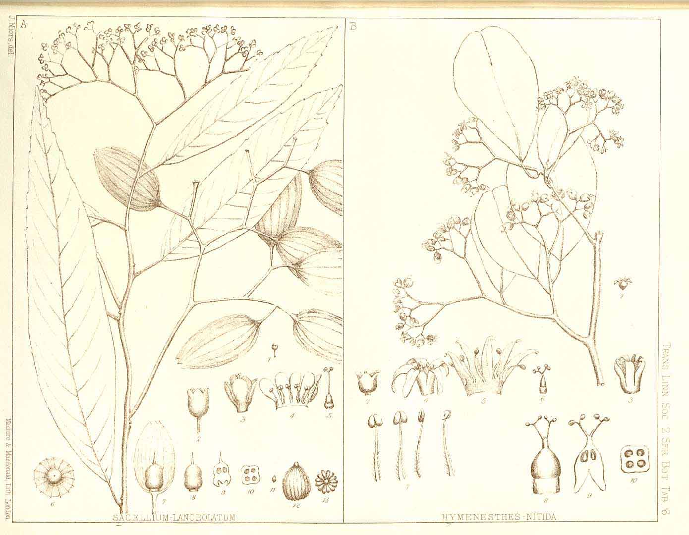 no HD illustration available (3)