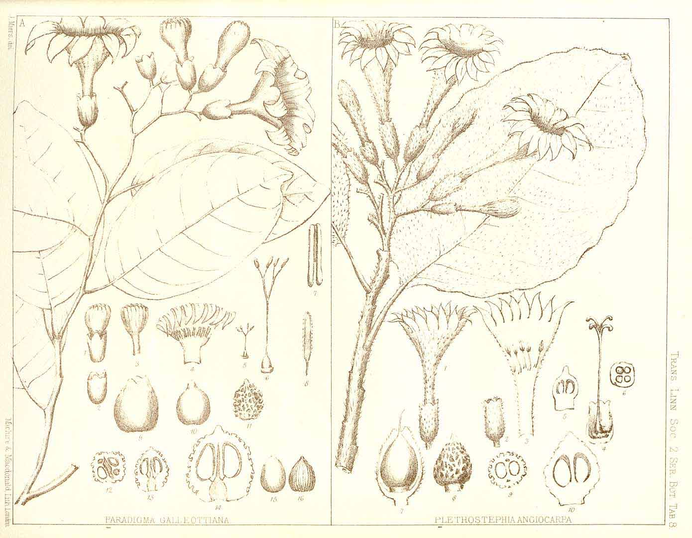 no HD illustration available (3)