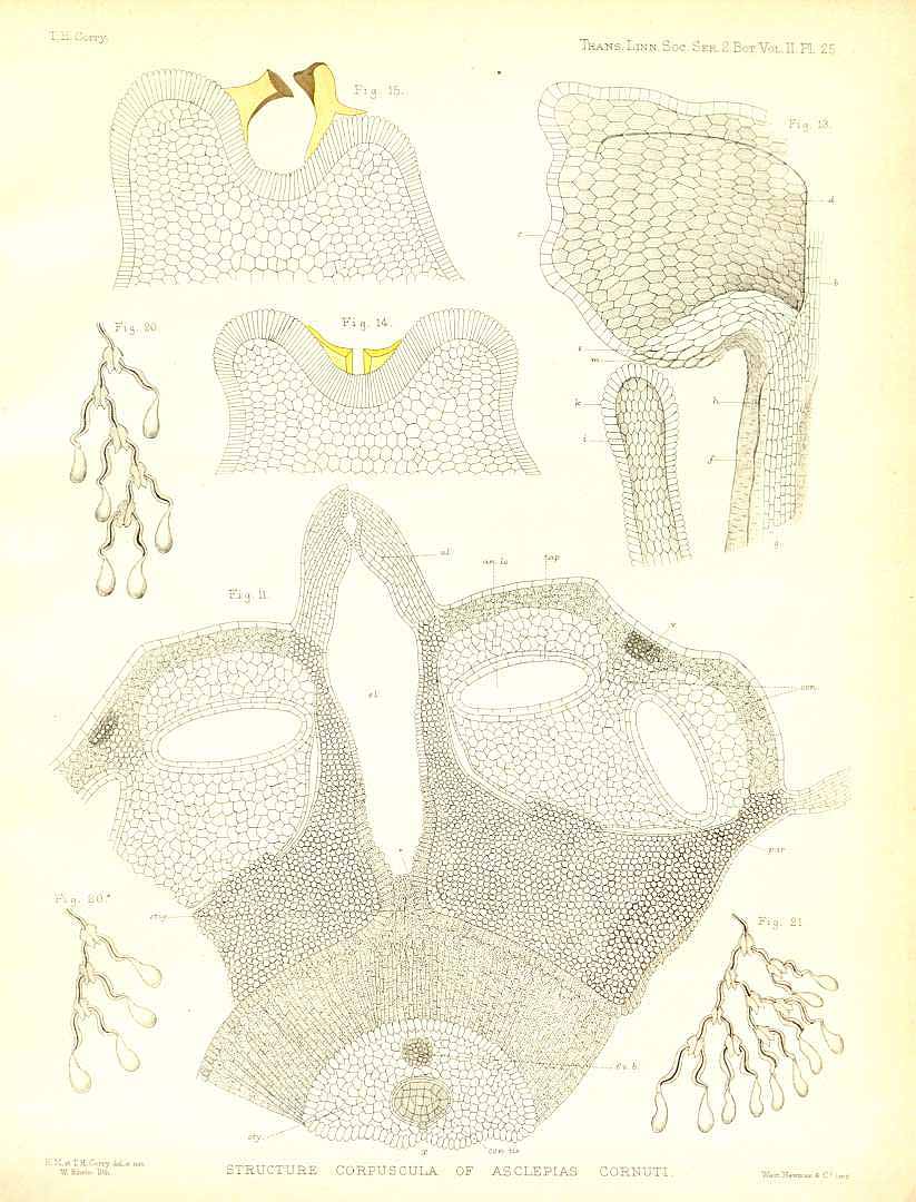no HD illustration available (3)