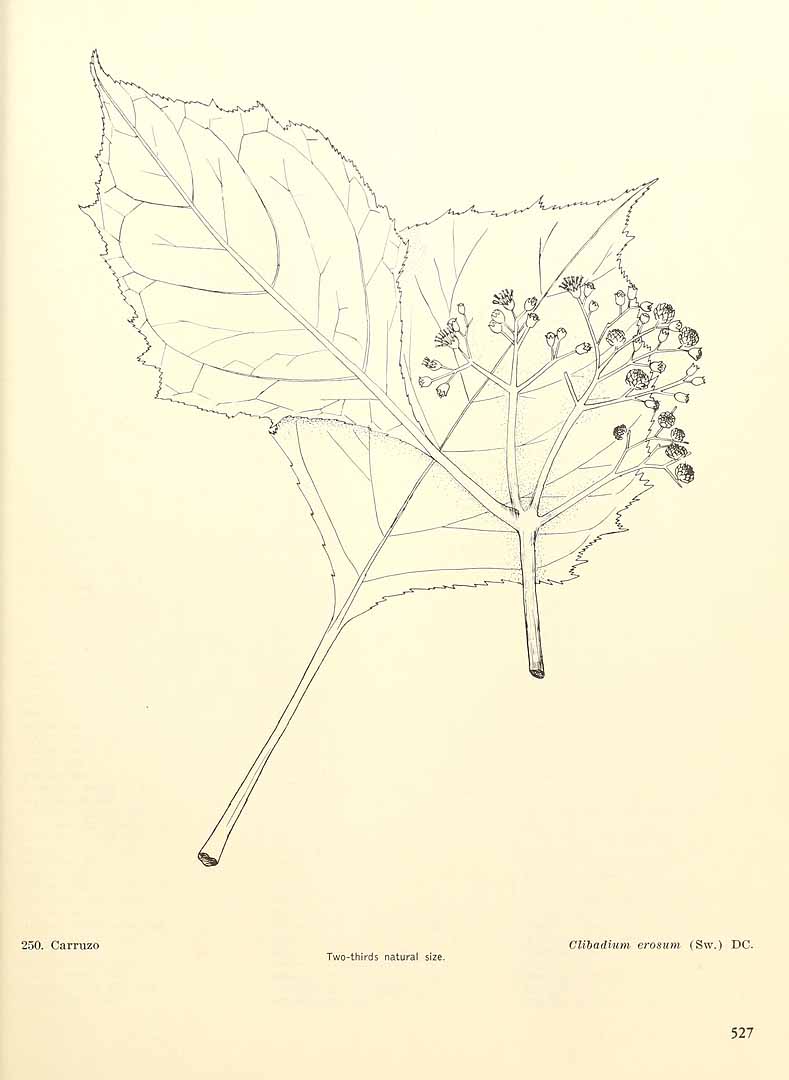 no HD illustration available (3)