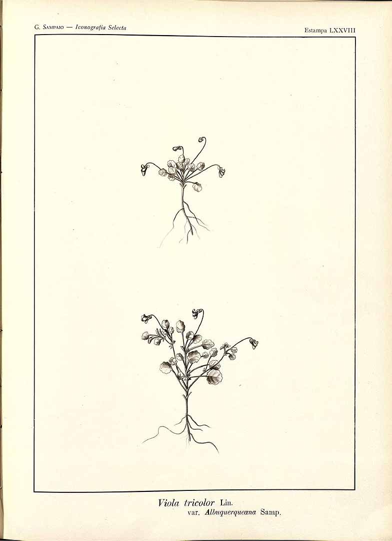 no HD illustration available (3)