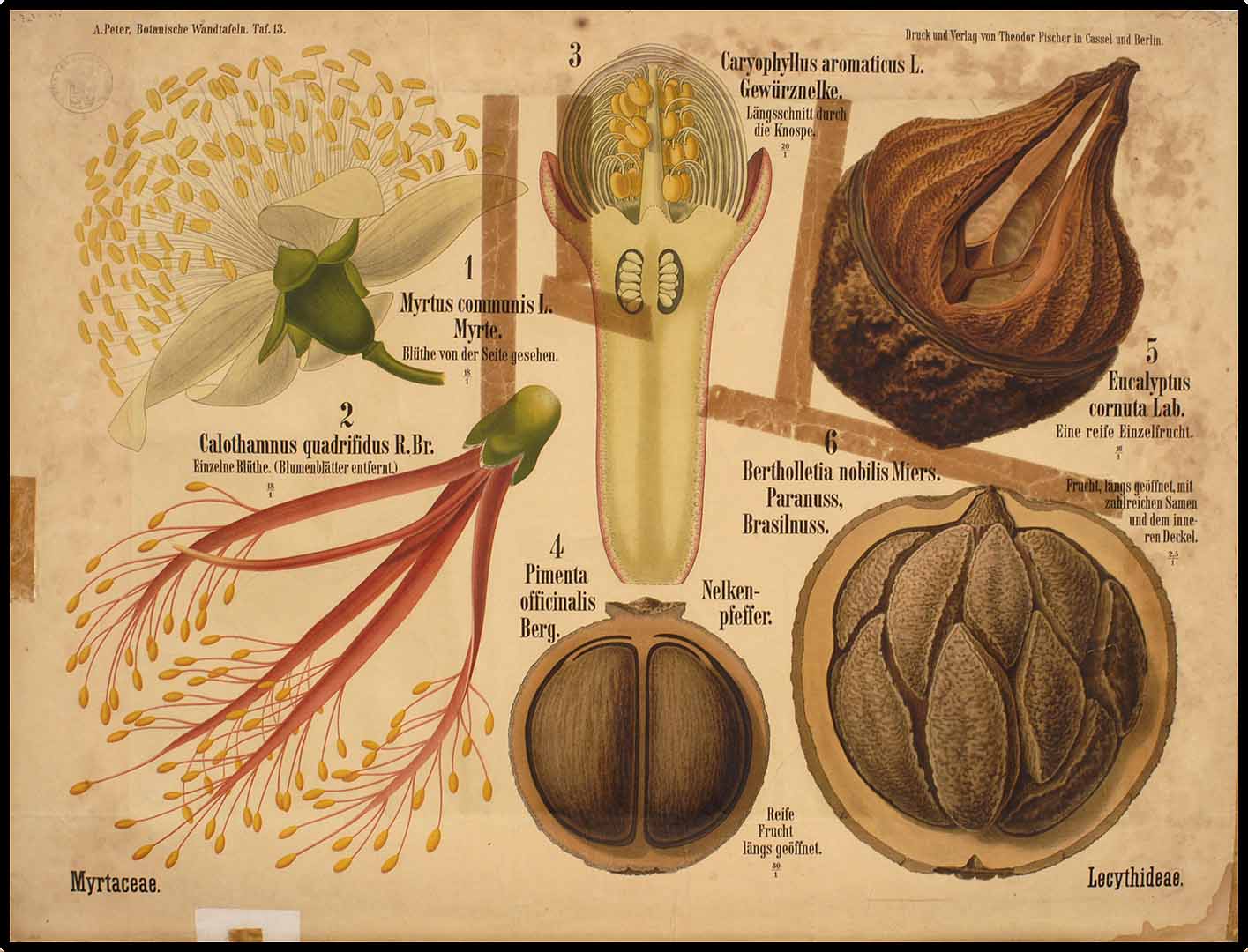 no HD illustration available (3)