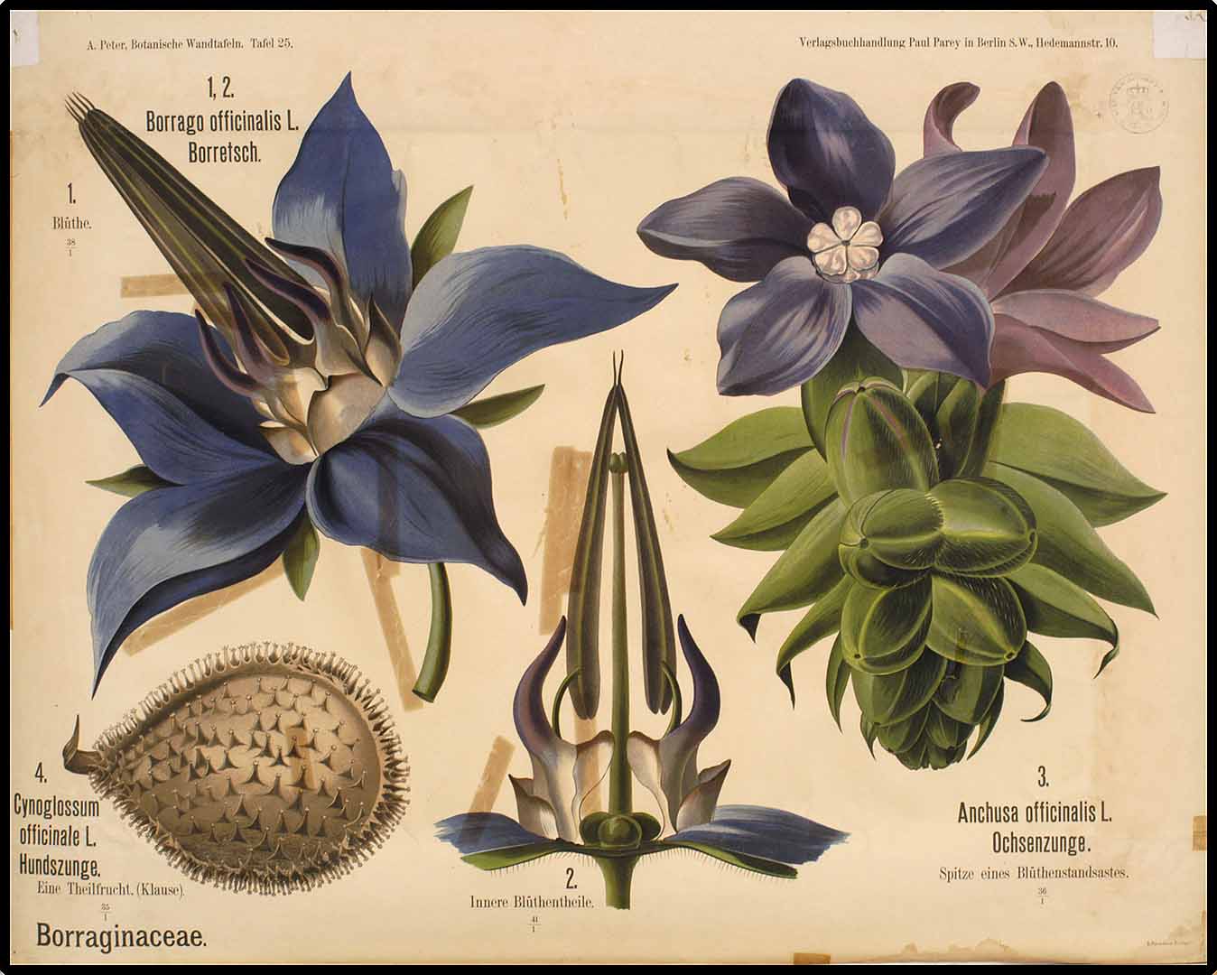 no HD illustration available (3)