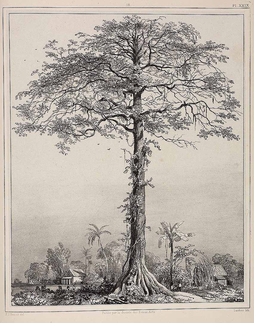 no HD illustration available (3)