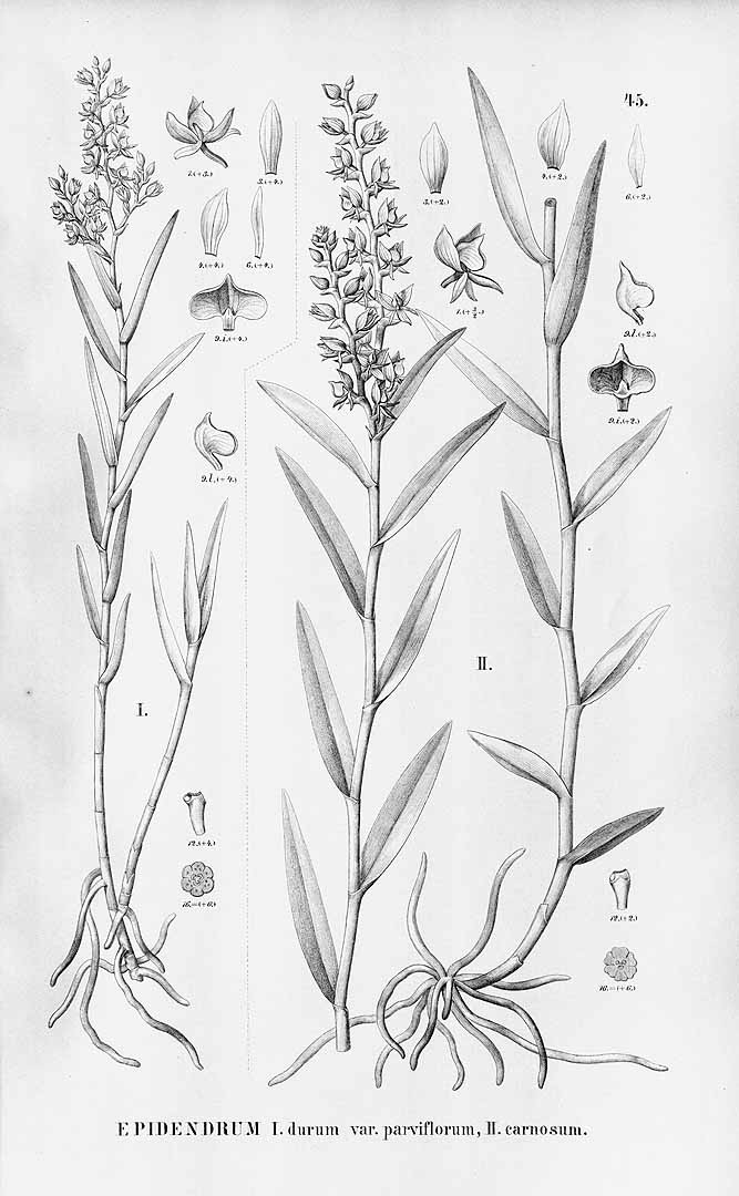 no HD illustration available (3)