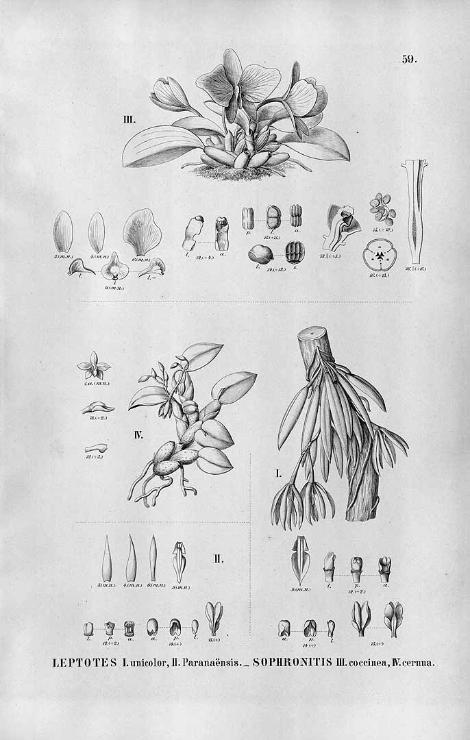 no HD illustration available (3)