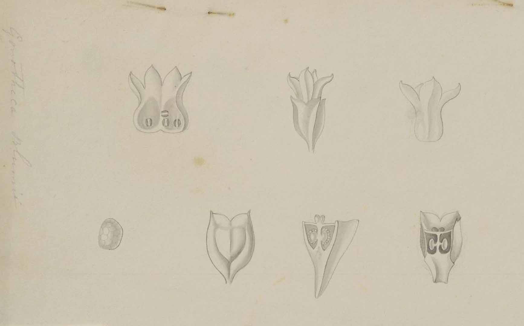 no HD illustration available (m2)