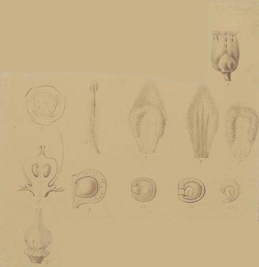 no HD illustration available (m2)