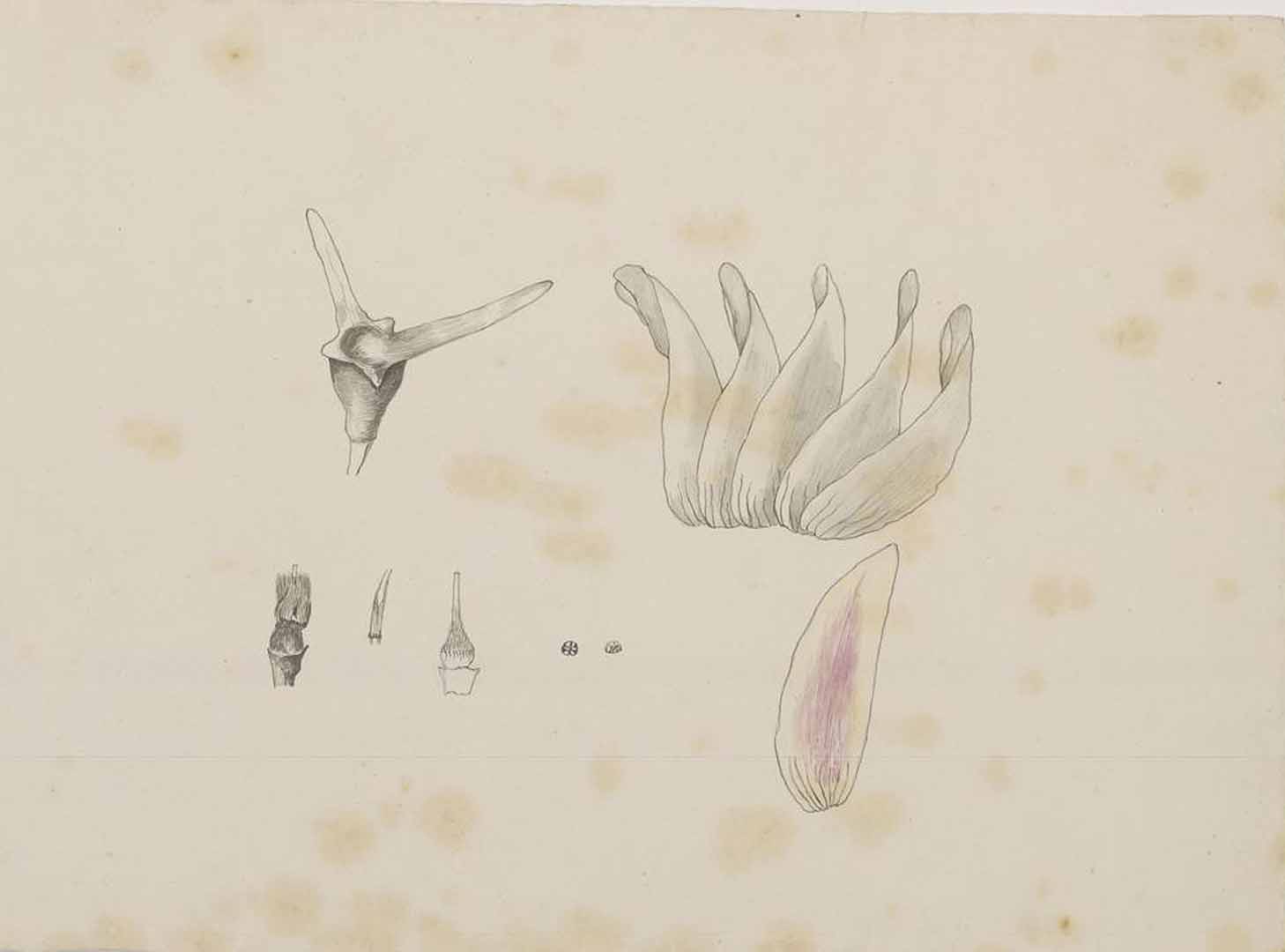 no HD illustration available (m2)