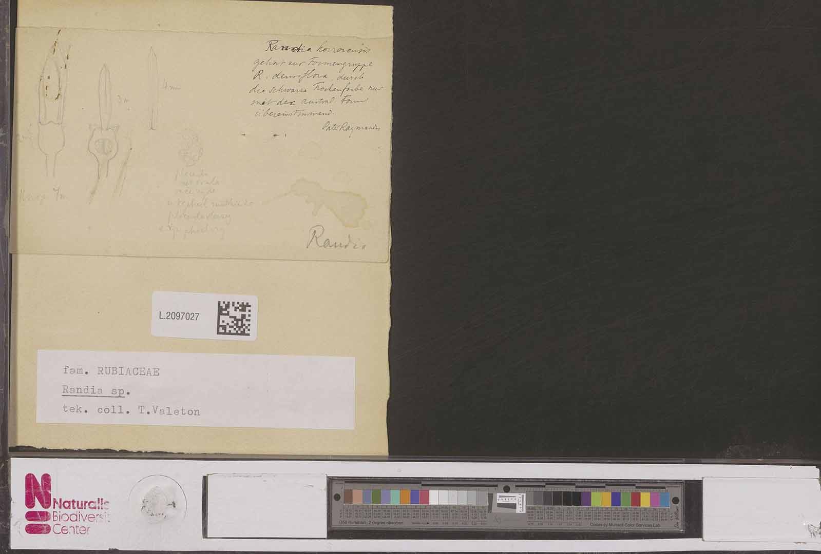no HD illustration available (m2)