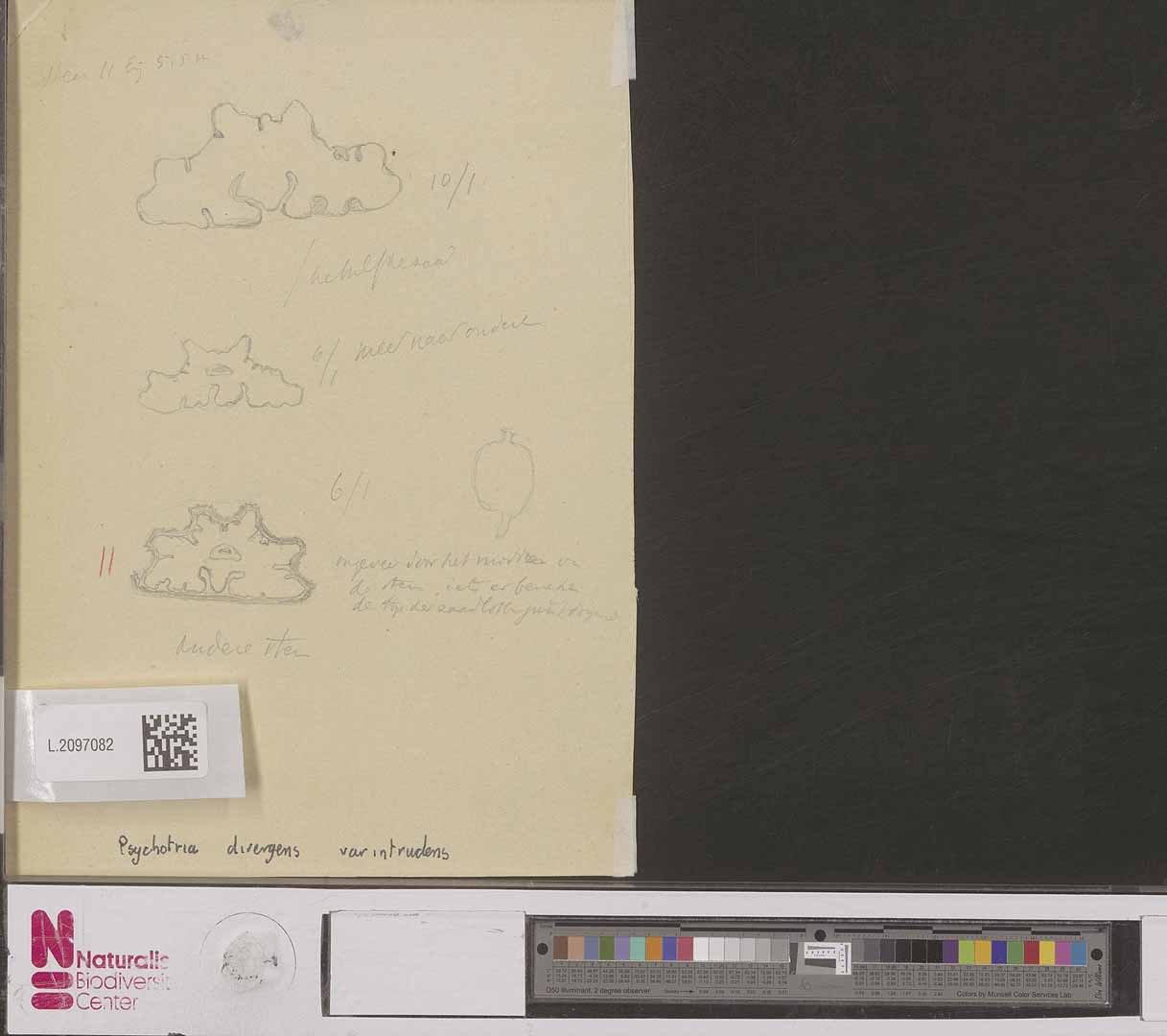 no HD illustration available (m2)