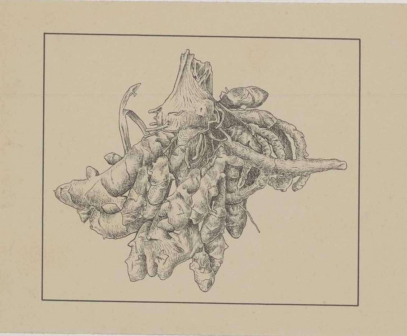 no HD illustration available (m2)