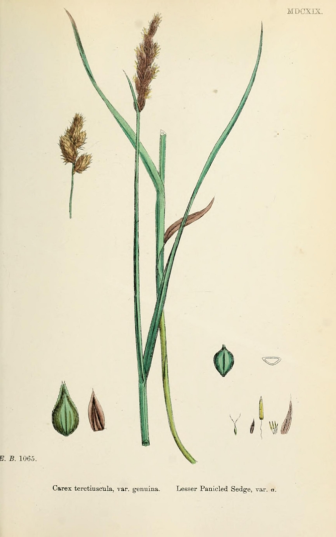no HD illustration available (m1)