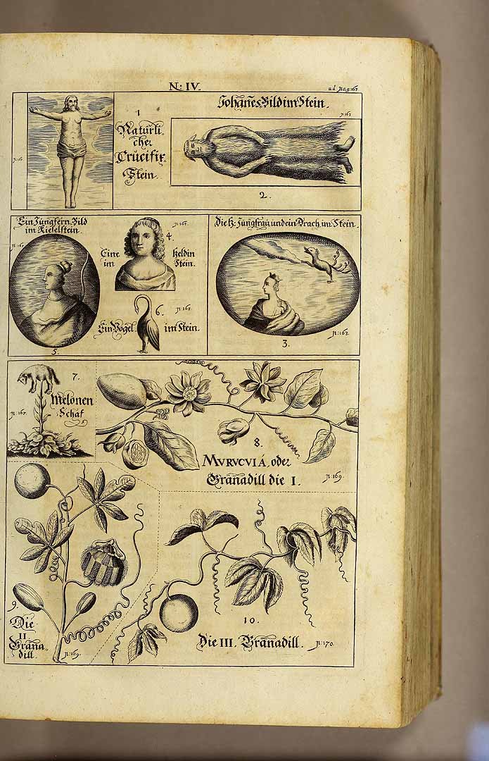no HD illustration available (3)