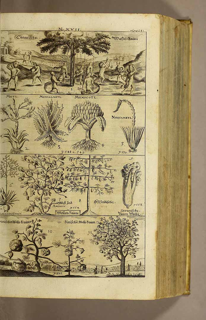 no HD illustration available (3)