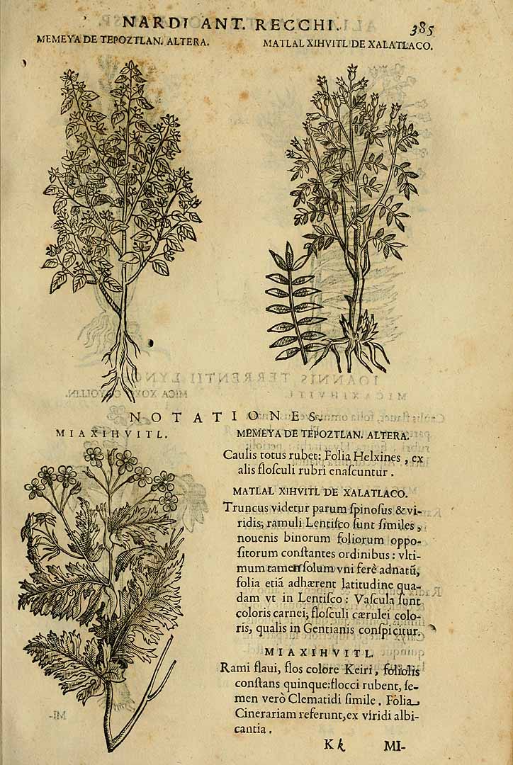 no HD illustration available (3)