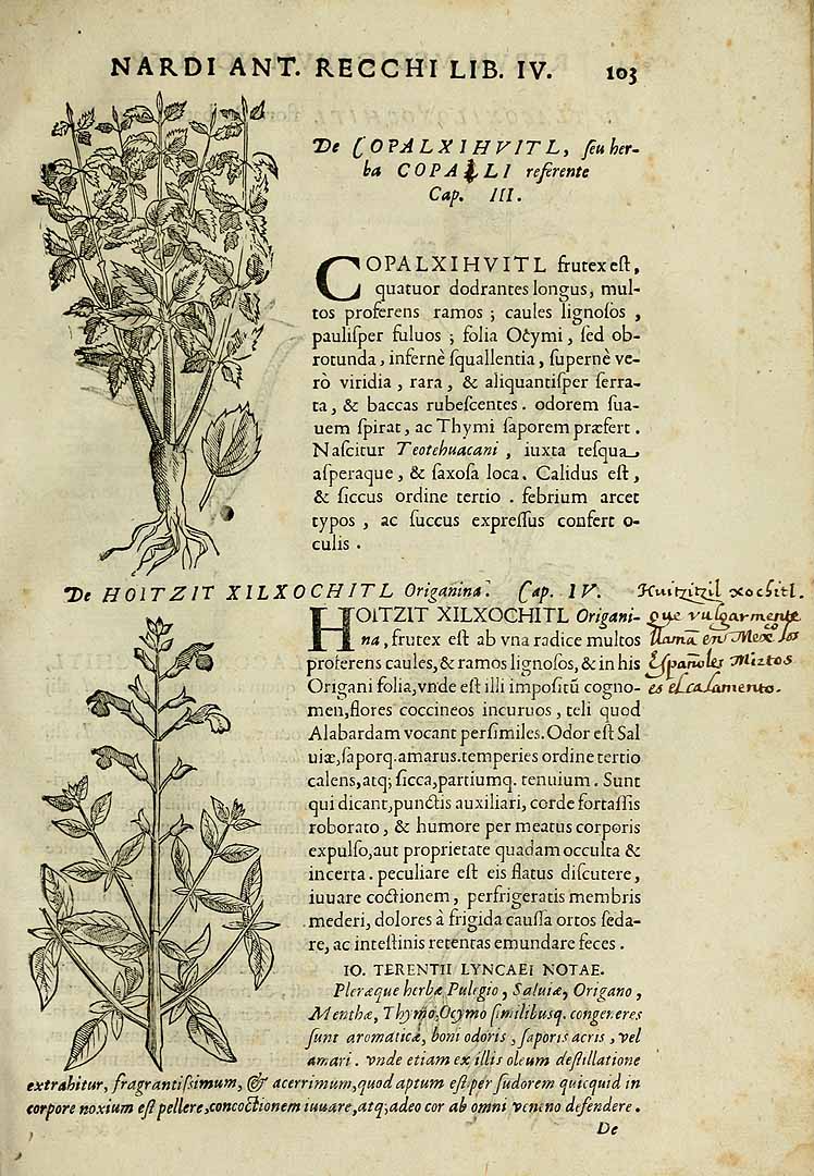 no HD illustration available (3)