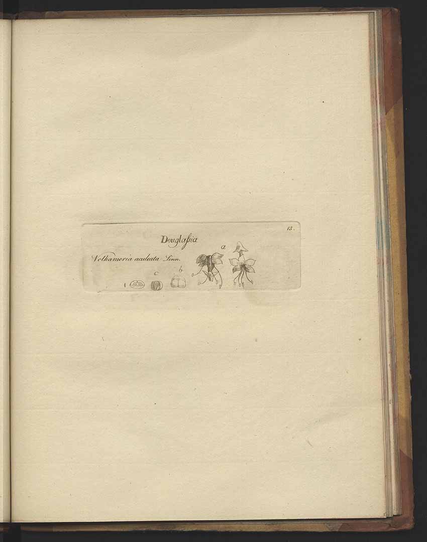 no HD illustration available (3)