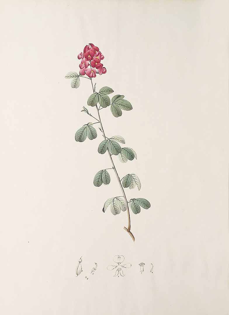 no HD illustration available (3)