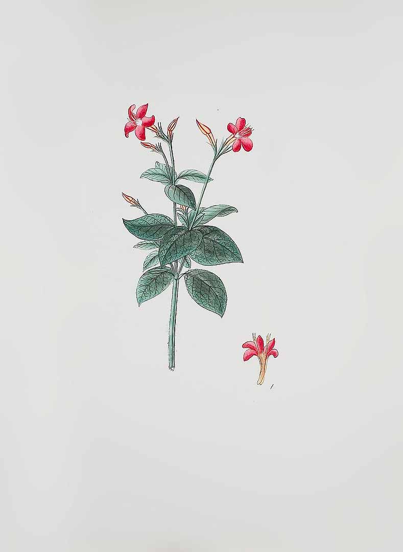 no HD illustration available (3)