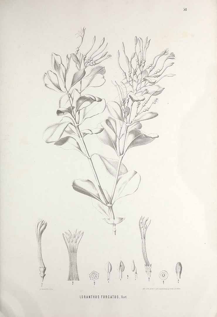 no HD illustration available (m1)
