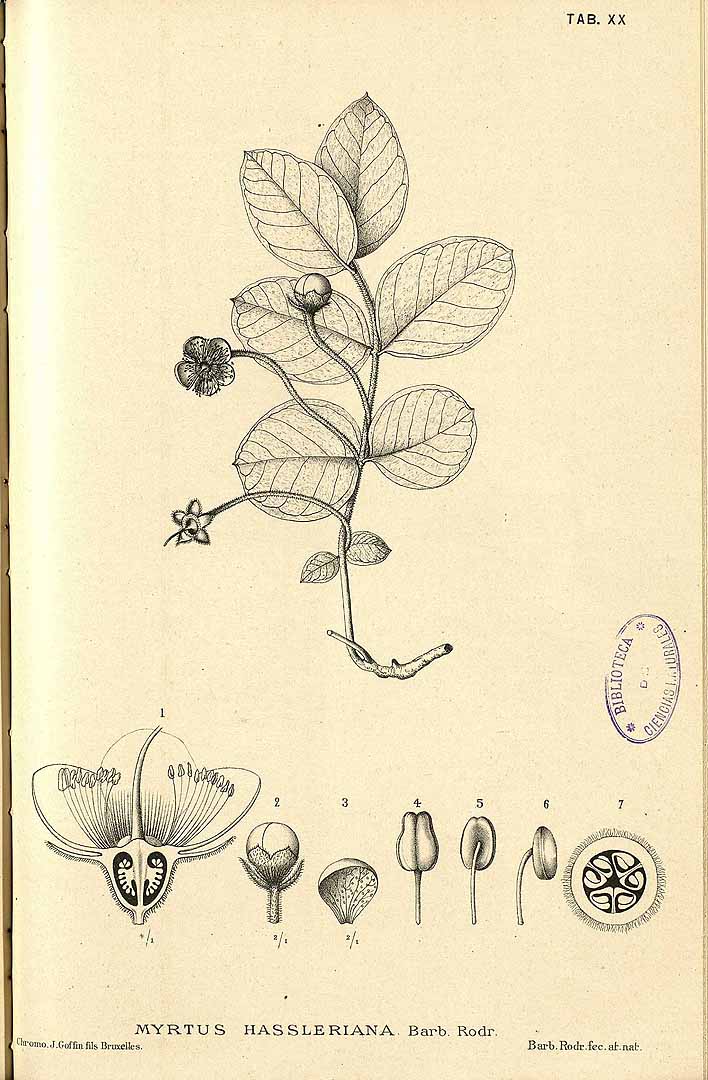 no HD illustration available (3)