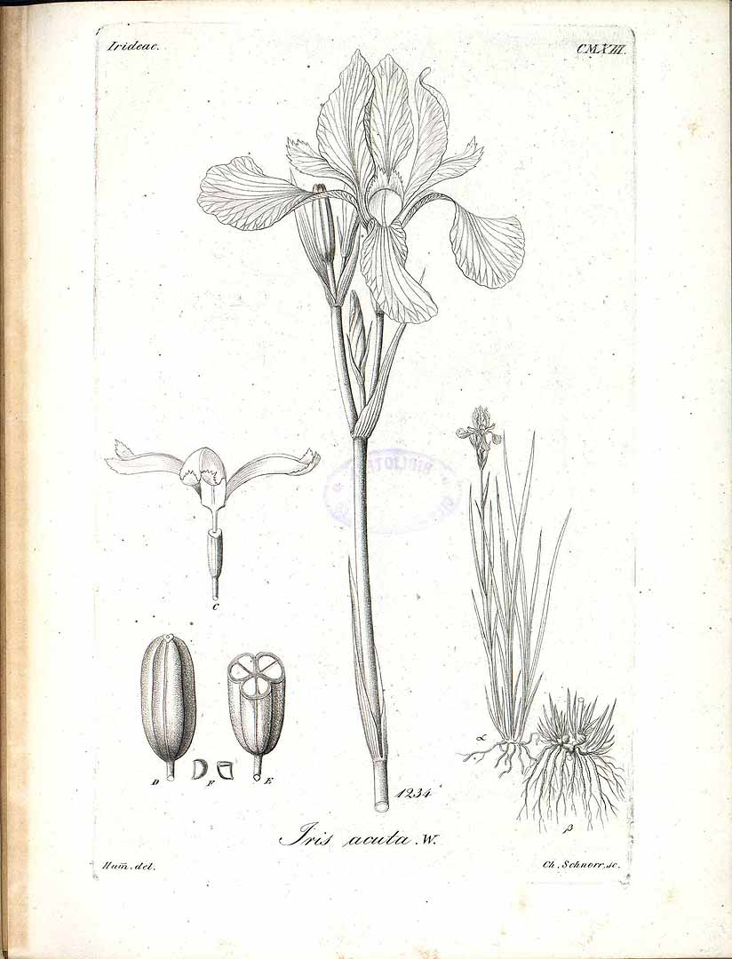 no HD illustration available (3)