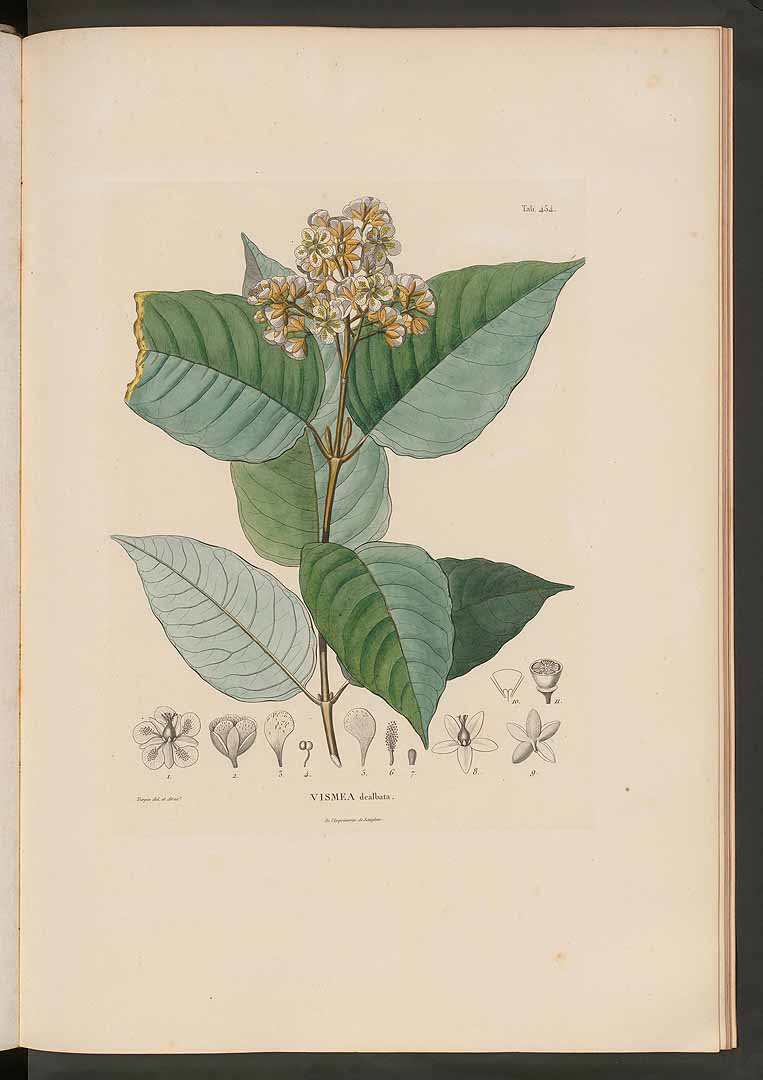 no HD illustration available (m1)