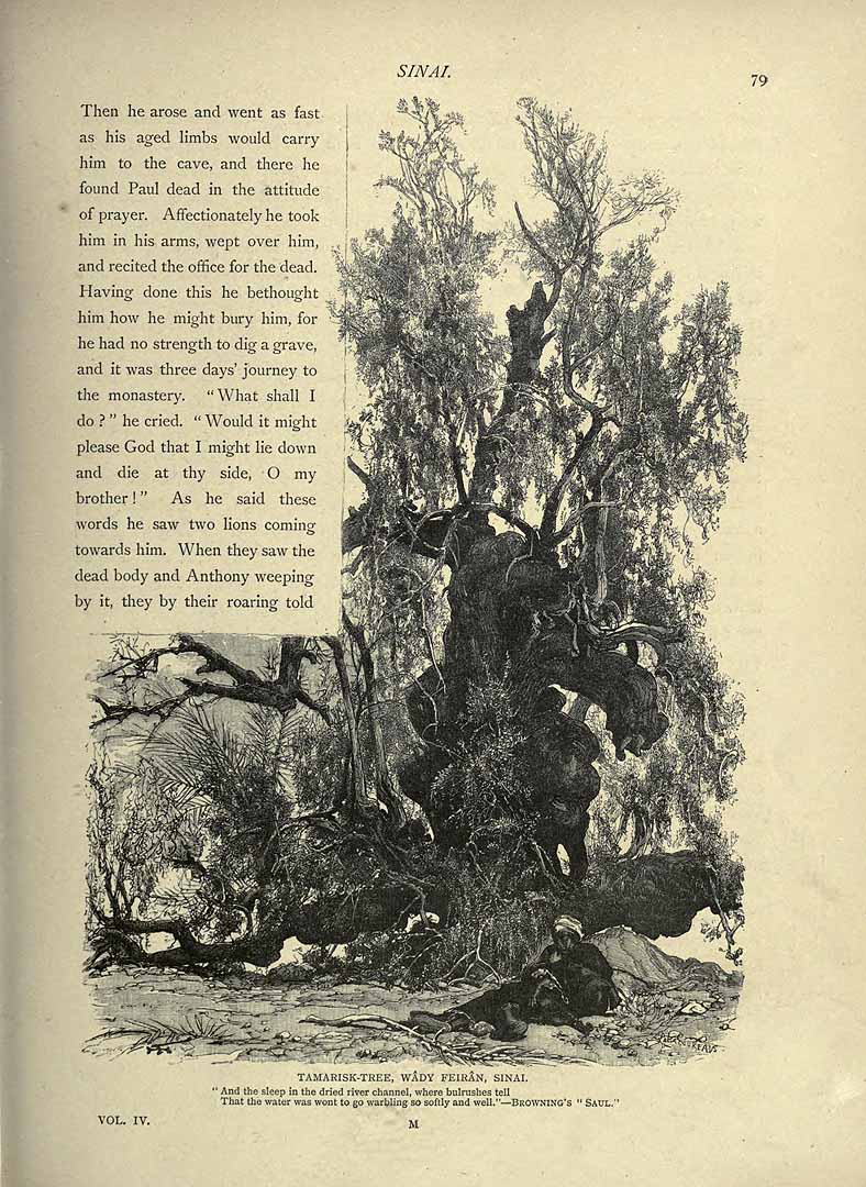 no HD illustration available (3)