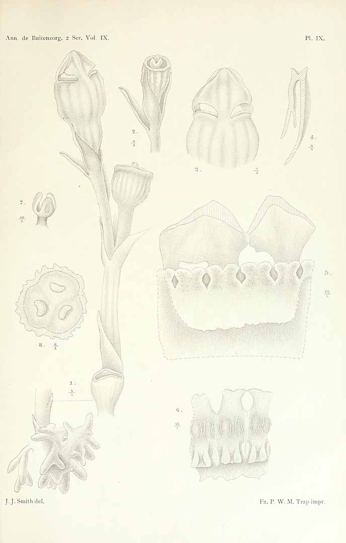 no HD illustration available (3)
