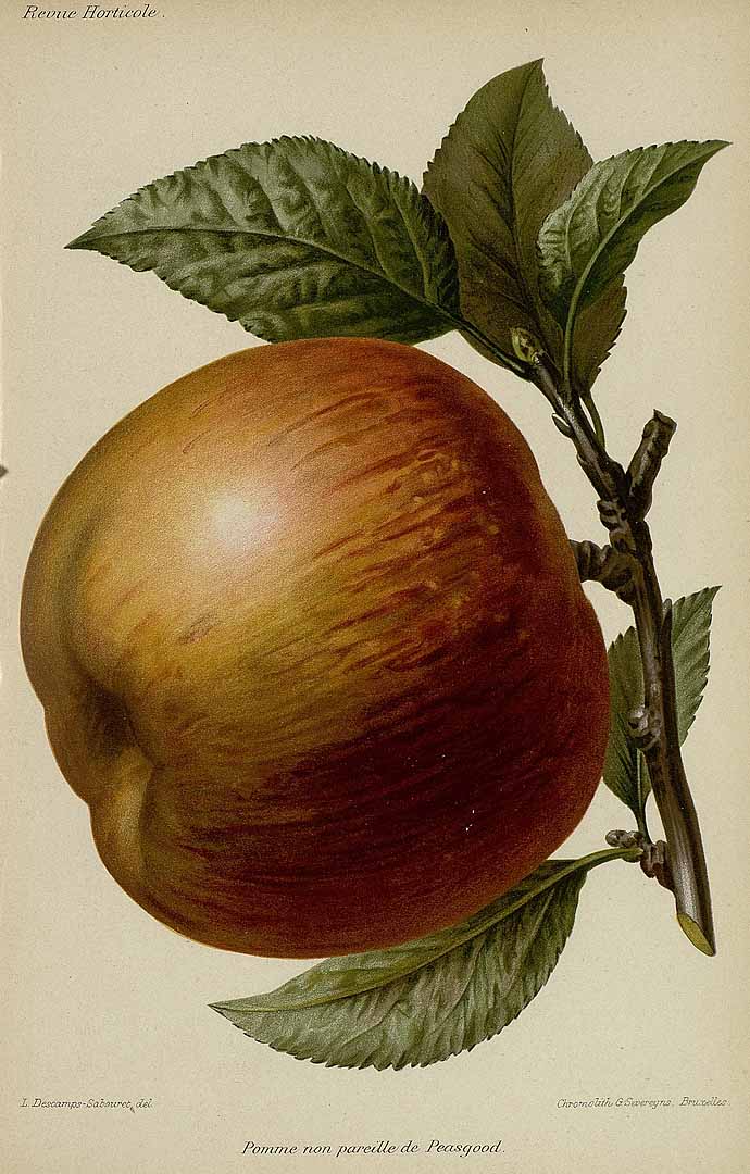 no HD illustration available (3)
