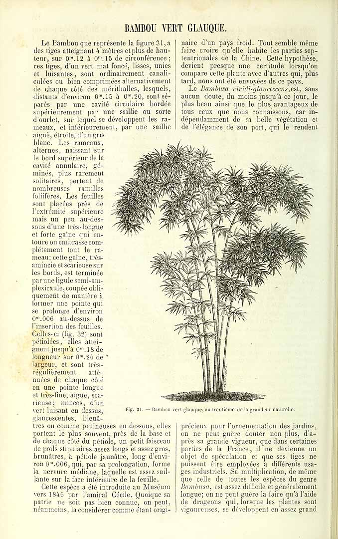 no HD illustration available (3)