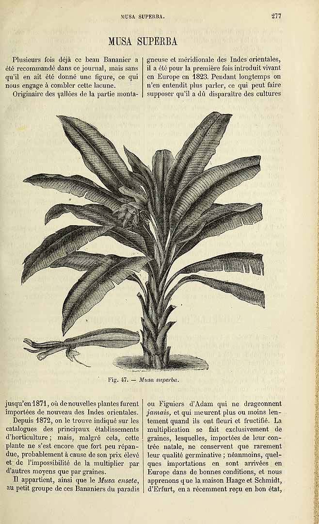 no HD illustration available (3)