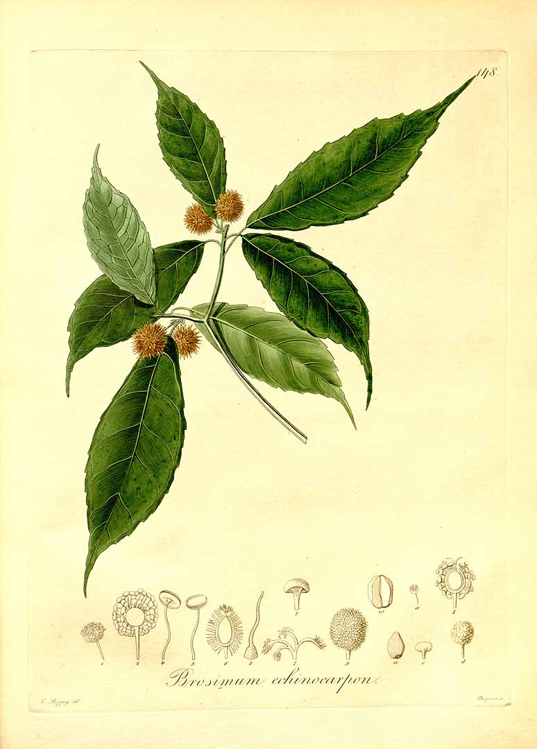 no HD illustration available (3)