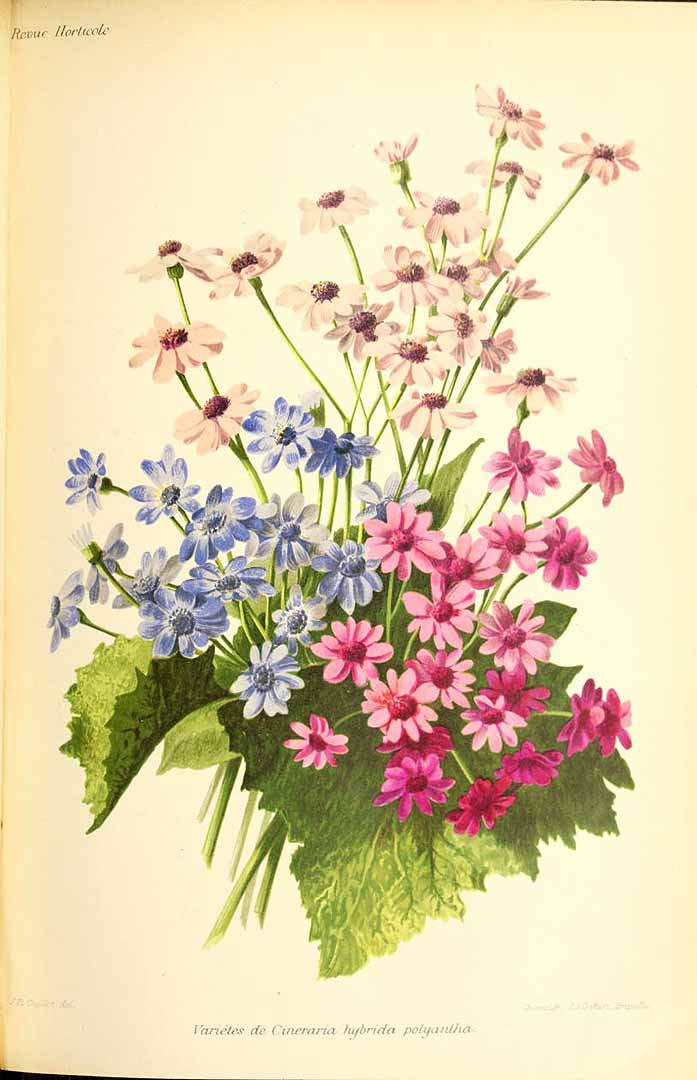 no HD illustration available (3)