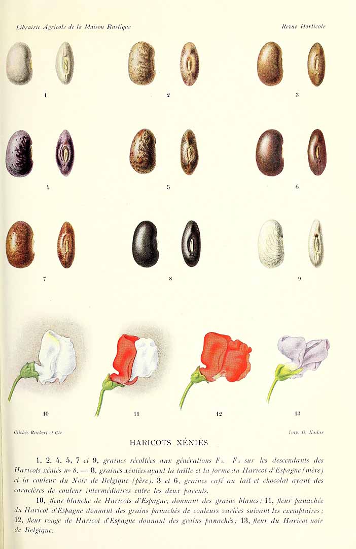 no HD illustration available (3)