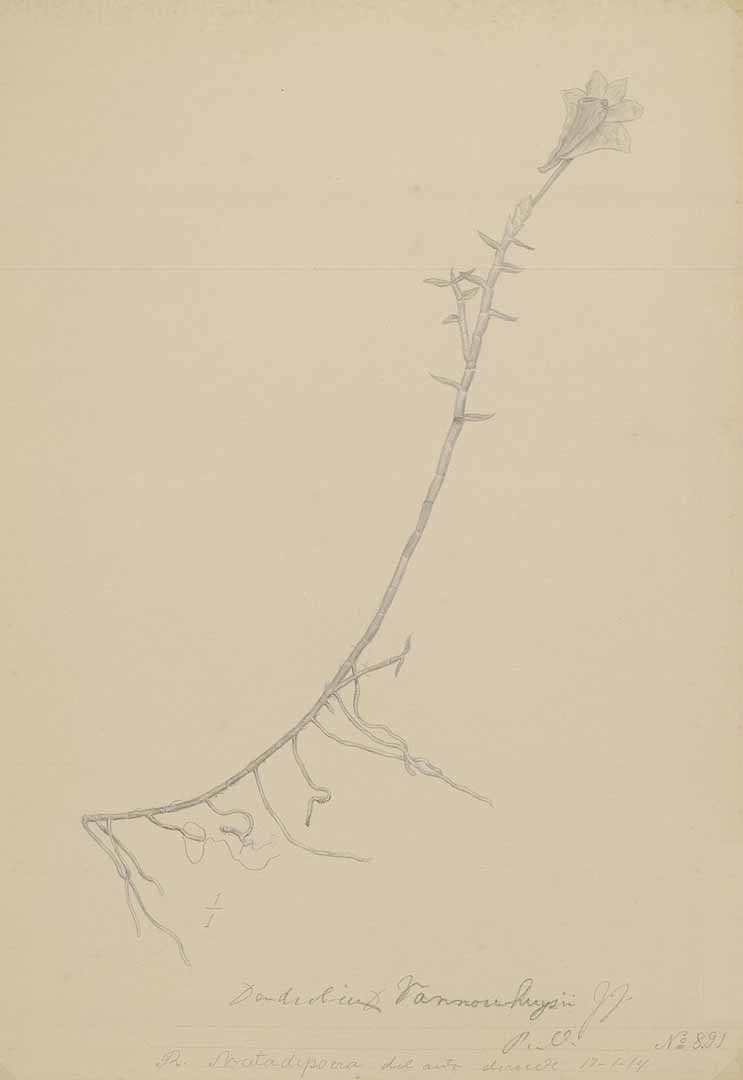 no HD illustration available (m1)