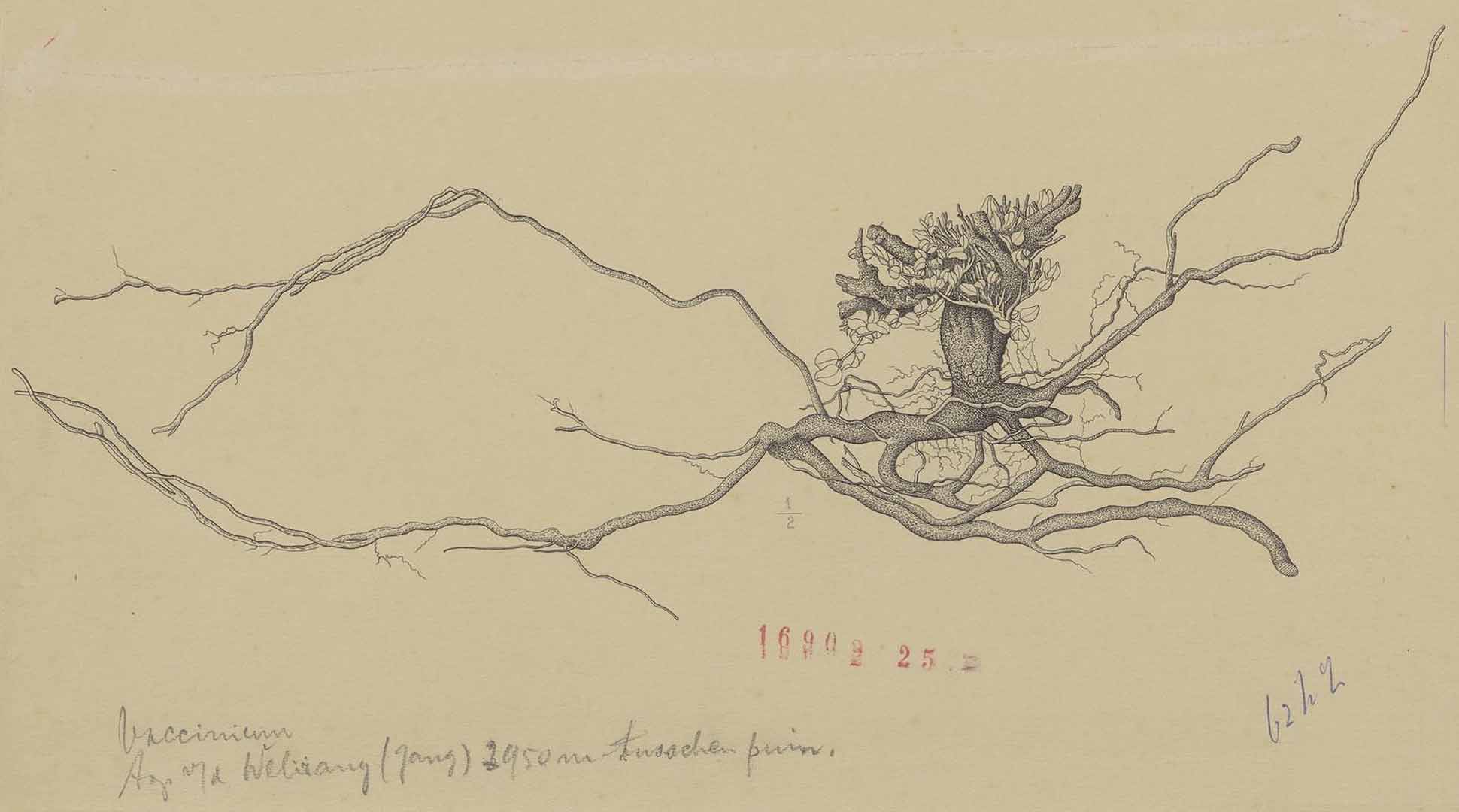 no HD illustration available (m2)