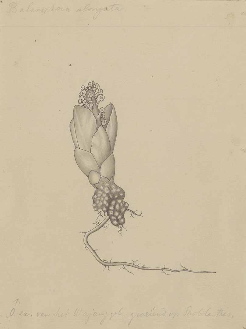 no HD illustration available (3)