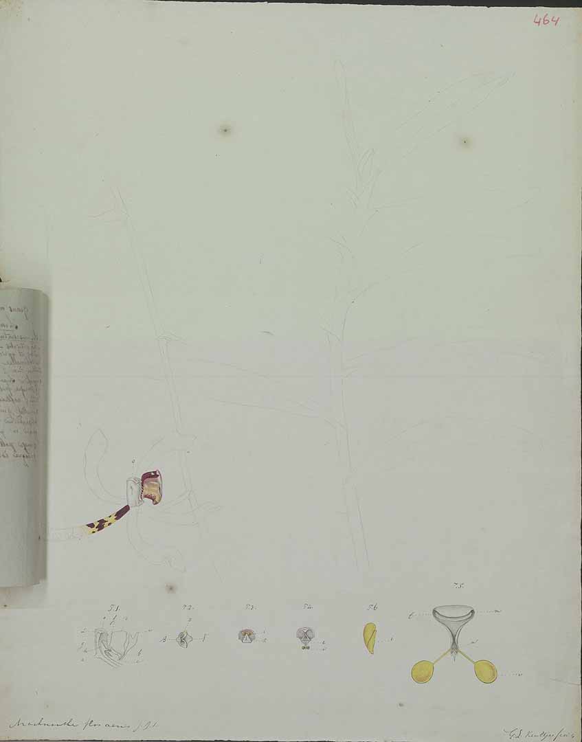 no HD illustration available (3)