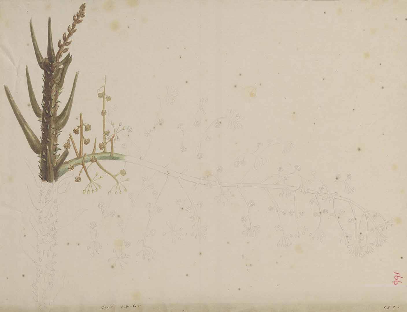 no HD illustration available (3)