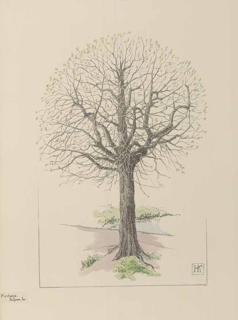 no HD illustration available (m1)