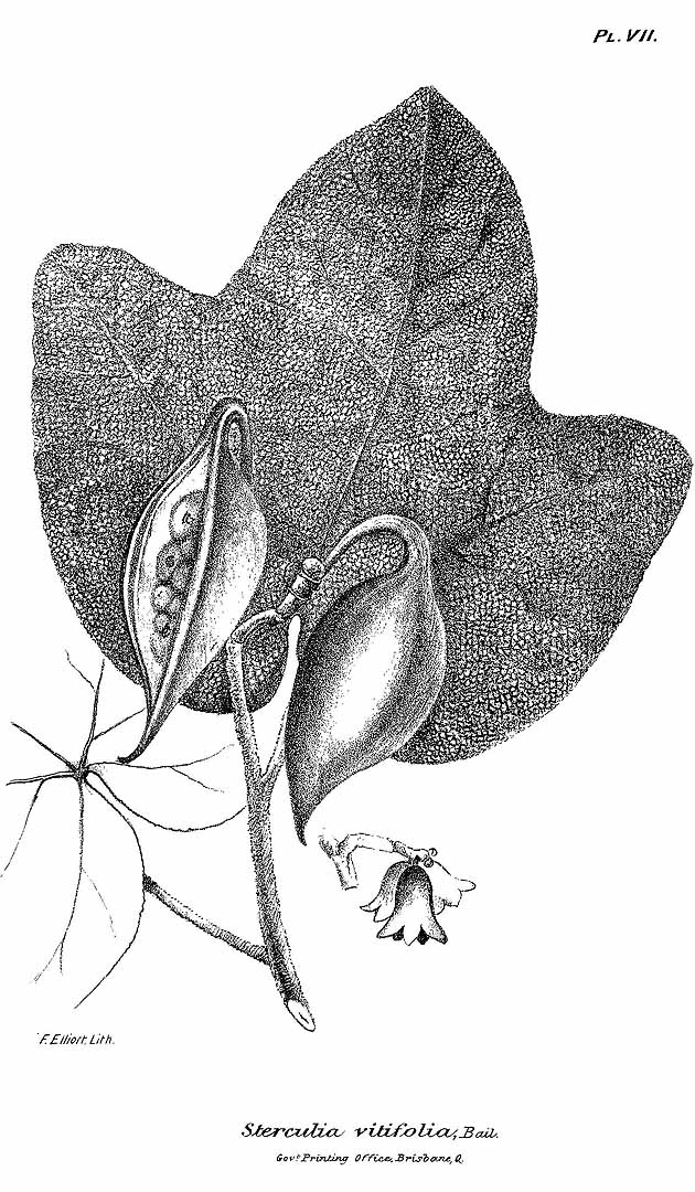 no HD illustration available (3)