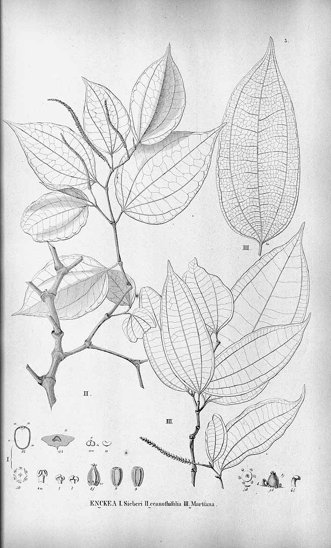 no HD illustration available (3)