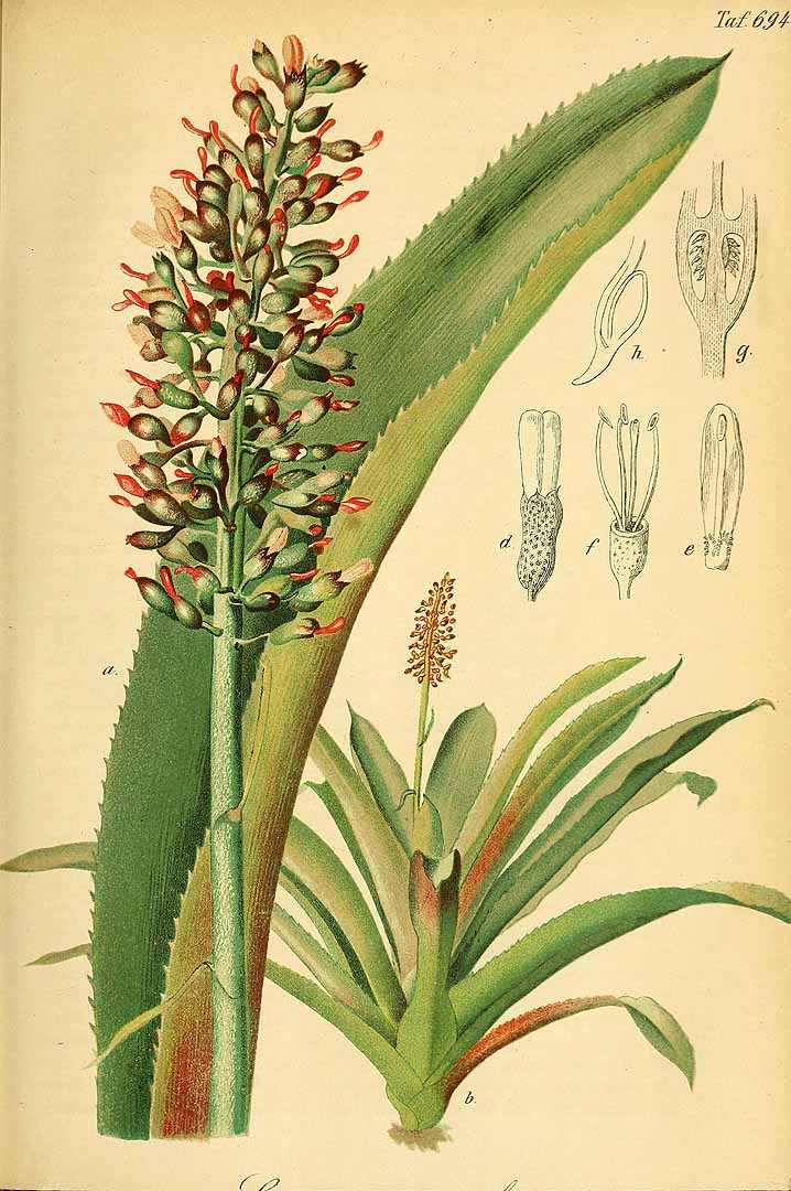 no HD illustration available (3)