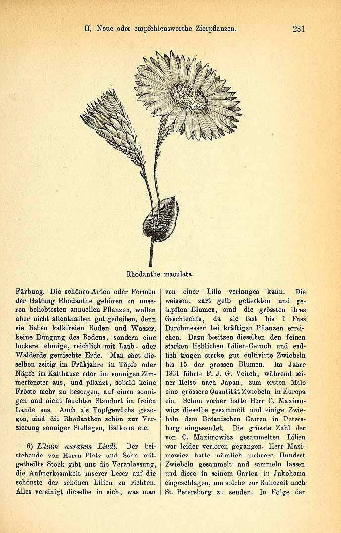 no HD illustration available (3)