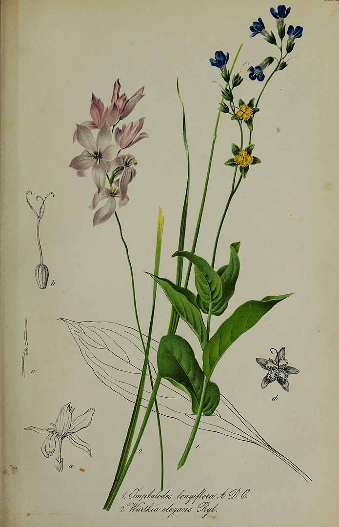 no HD illustration available (3)
